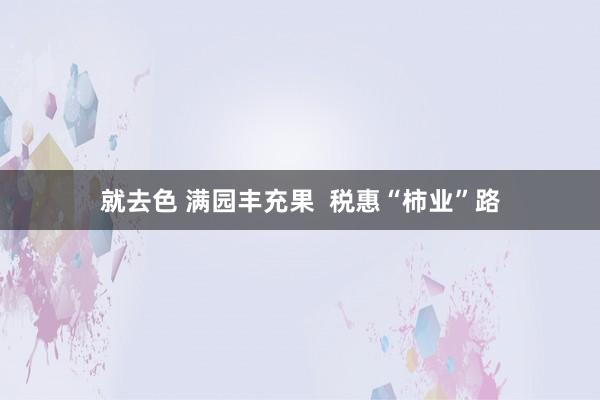 就去色 满园丰充果  税惠“柿业”路